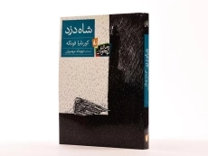 کتاب شاه دزد - نشر افق - 1