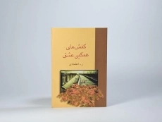 کتاب کفش های غمگین عشق - اعتمادی - 4