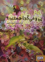 کتاب پی و فی کجا هستند؟