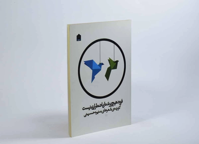 کتاب فرود هیچ پرنده ای اضطراری نیست - حسینی - 2