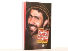 کتاب در کمین گل سرخ - محسن مومنی - 2