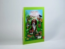 کتاب حادثه ی خطرناک (بهترین داستان های دنیا برای کودکان) - 2