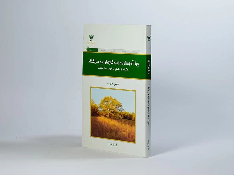 کتاب چرا آدم های خوب کارهای بد می کنند | دبی فورد - 3