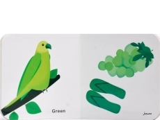 کتاب رنگ ها (فرهنگ تصویری نی نی ها) - 2