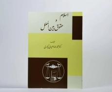 کتاب اسلام و حقوق بین الملل - ضیائی بیگدلی - 2