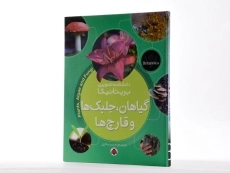 کتاب گیاهان، جلبک ها و قارچ ها (دانشنامه تصویری بریتانیکا) - 2