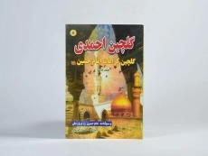 کتاب گلچین احمدی 8 - 3