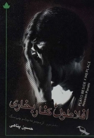 کتاب افلاطون کنار بخاری