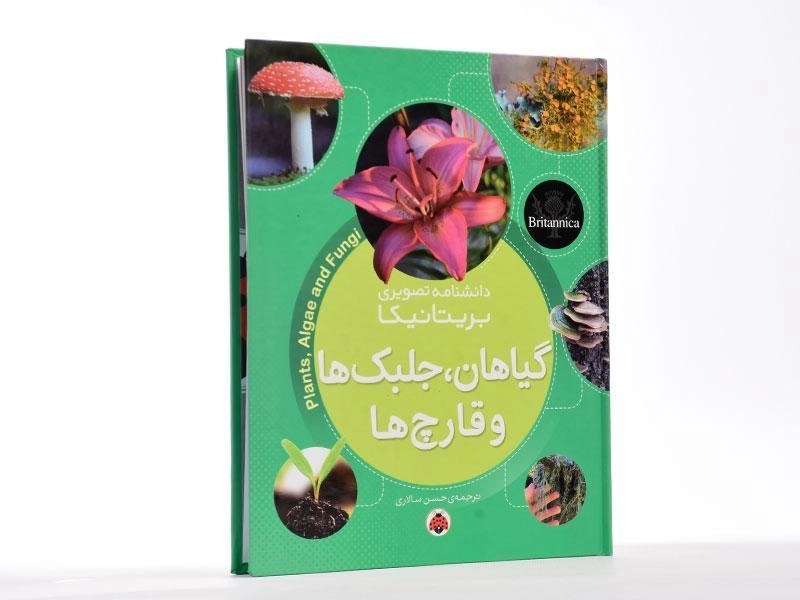 کتاب گیاهان، جلبک ها و قارچ ها (دانشنامه تصویری بریتانیکا) - 3
