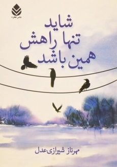 کتاب شاید تنها راهش همین باشد