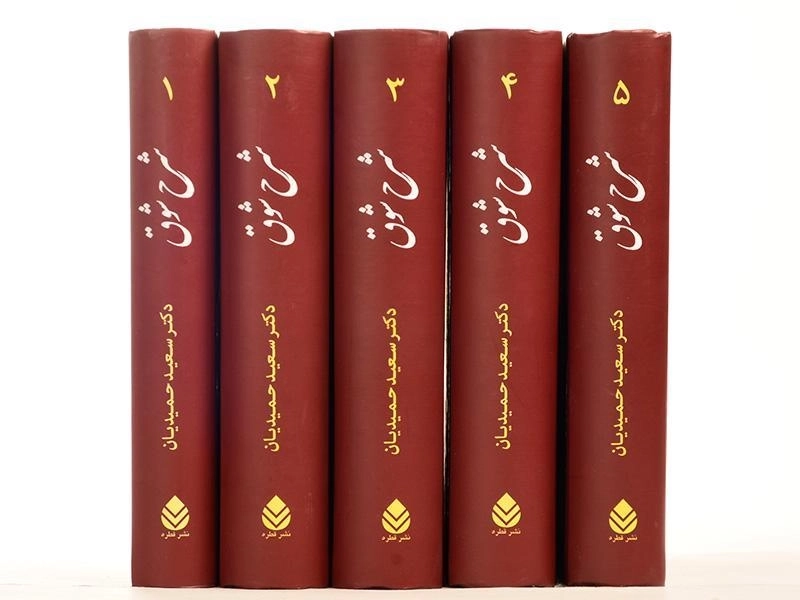 کتاب شرح شوق - سعید حمیدیان (5 جلدی) - 7