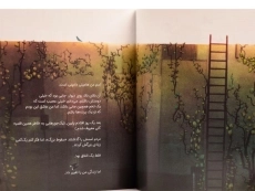 کتاب هامپتی دامپتی - 3