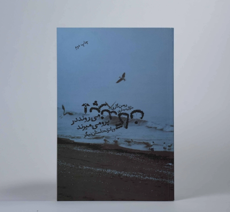 کتاب پرندگان می روند در پرو می میرند - رومن گاری - 3