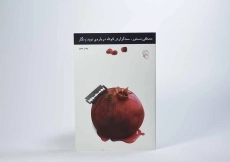 کتاب سه گزارش کوتاه درباره ی نوید و نگار - 2