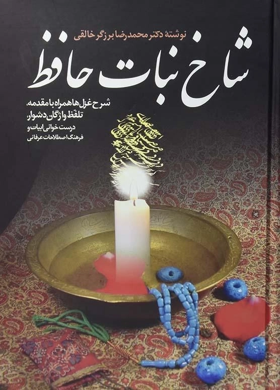 کتاب شاخ نبات حافظ - محمدرضا برزگر خالقی - 0