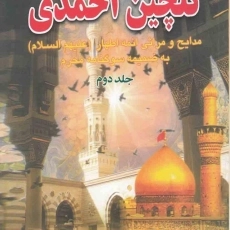 کتاب گلچین احمدی 2