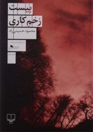 کتاب بیست زخم کاری | محمود حسینی‌زاد
