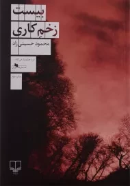 کتاب بیست زخم کاری | محمود حسینی‌زاد