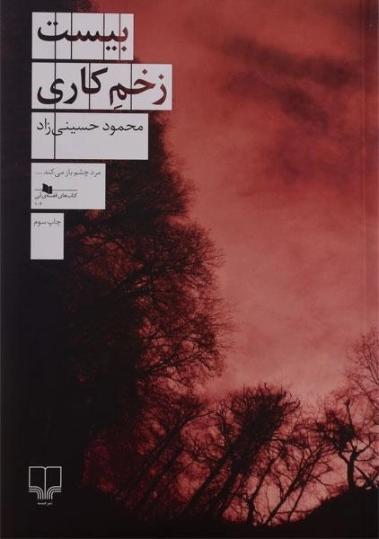کتاب بیست زخم کاری | محمود حسینی‌زاد