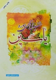 کتاب شنیدنی های سوره یاسین | مصطفی علوی