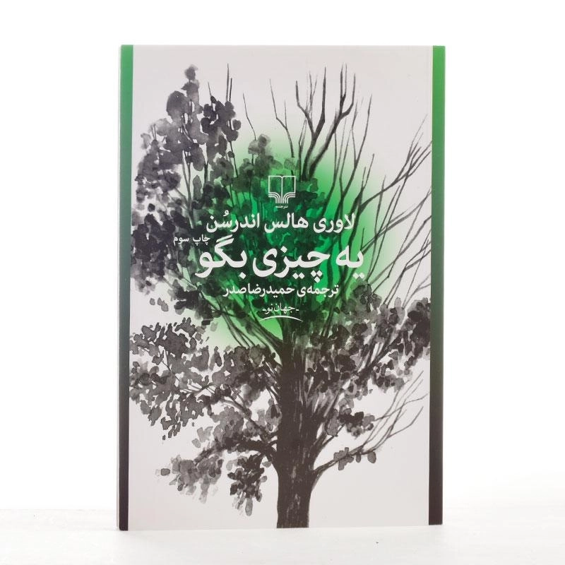 کتاب یه چیزی بگو - لاوری هالس اندرسن - 2