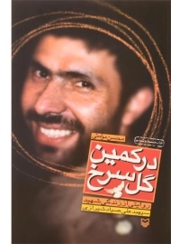 کتاب در کمین گل سرخ