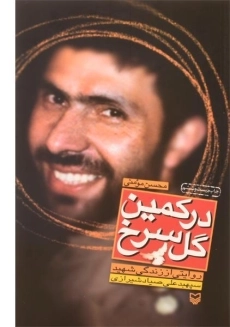 کتاب در کمین گل سرخ