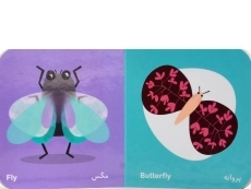 کتاب حشره ها (فرهنگ تصویری نی نی ها) - 2