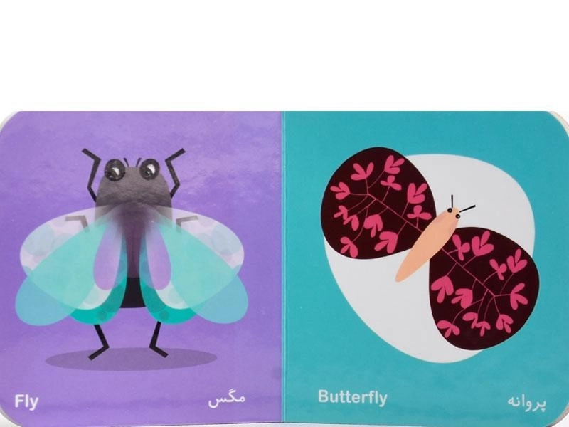 کتاب حشره ها (فرهنگ تصویری نی نی ها) - 2