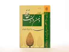 کتاب ذهن و زبان حافظ - بهاءالدین خرمشاهی - 4