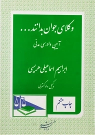 کتاب وکلای جوان بدانند... جلد 6 (آیین دادرسی مدنی)