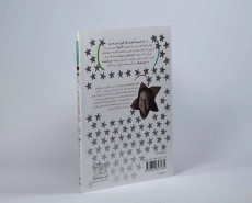 کتاب در جست و جوی گنج (جودی دمدمی و استینک 2) - 2