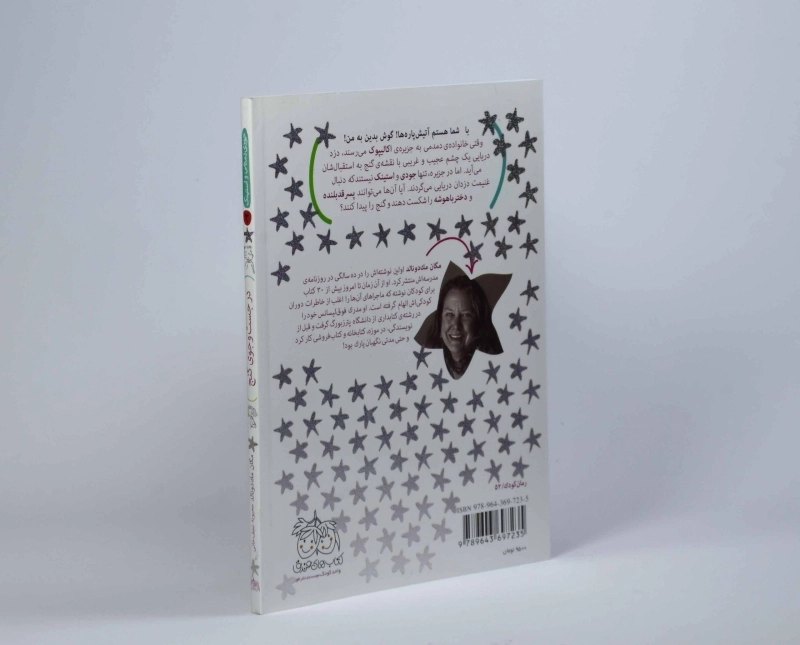 کتاب در جست و جوی گنج (جودی دمدمی و استینک 2) - 2