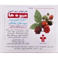 کارتهای دید آموز (میوه ها)