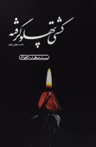 کتاب کشتی پهلو گرفته - مهدی شجاعی