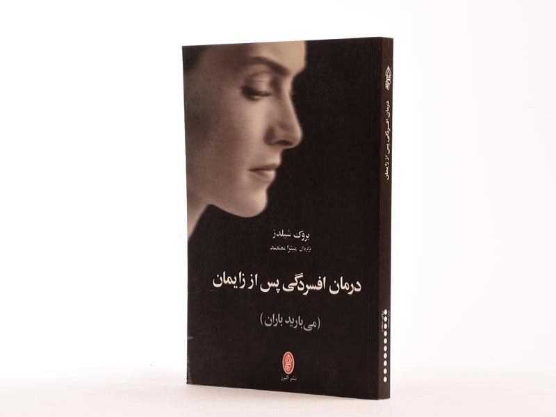 کتاب درمان افسردگی پس از زایمان - بروک شیلدز - 2