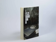 کتاب سالتو - مهدی افروزمنش - 2