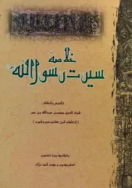 کتاب خلاصه سیرت رسول الله