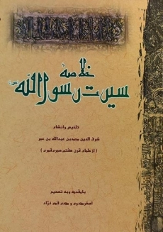 کتاب خلاصه سیرت رسول الله