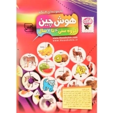 بازی فکری و آموزشی هوش چین 4 تکه - زاغک - 3