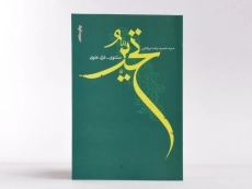 کتاب تحیر - حمیدرضا برقعی - 2