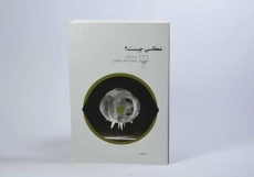 کتاب عکاسی چیست؟ - جیمز الکینز - 2