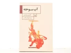 کتاب آب سوخته - کارلوس فوئنتس - 3