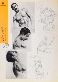 کتاب آناتومی هنری | پل ریشر