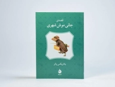 کتاب قصه ی جانی موش شهری - 1