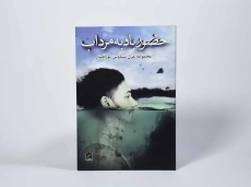 کتاب حضور باد به مرداب - سیاوش پورافشار - 2