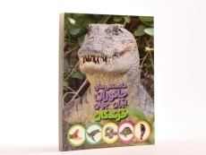 کتاب دانستنی های جانوران ایران و جهان (خزندگان) - 3