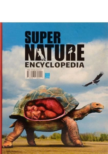 کتاب دایره المعارف مصور 100 جانور شگفت انگیز - 4