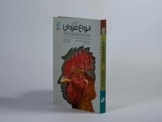 کتاب انواع مردان - شینودا بولن - 3