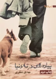 کتاب پیاده روی در ته دنیا